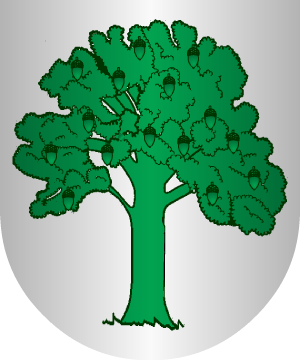 ESCUDO SIGUIENTE